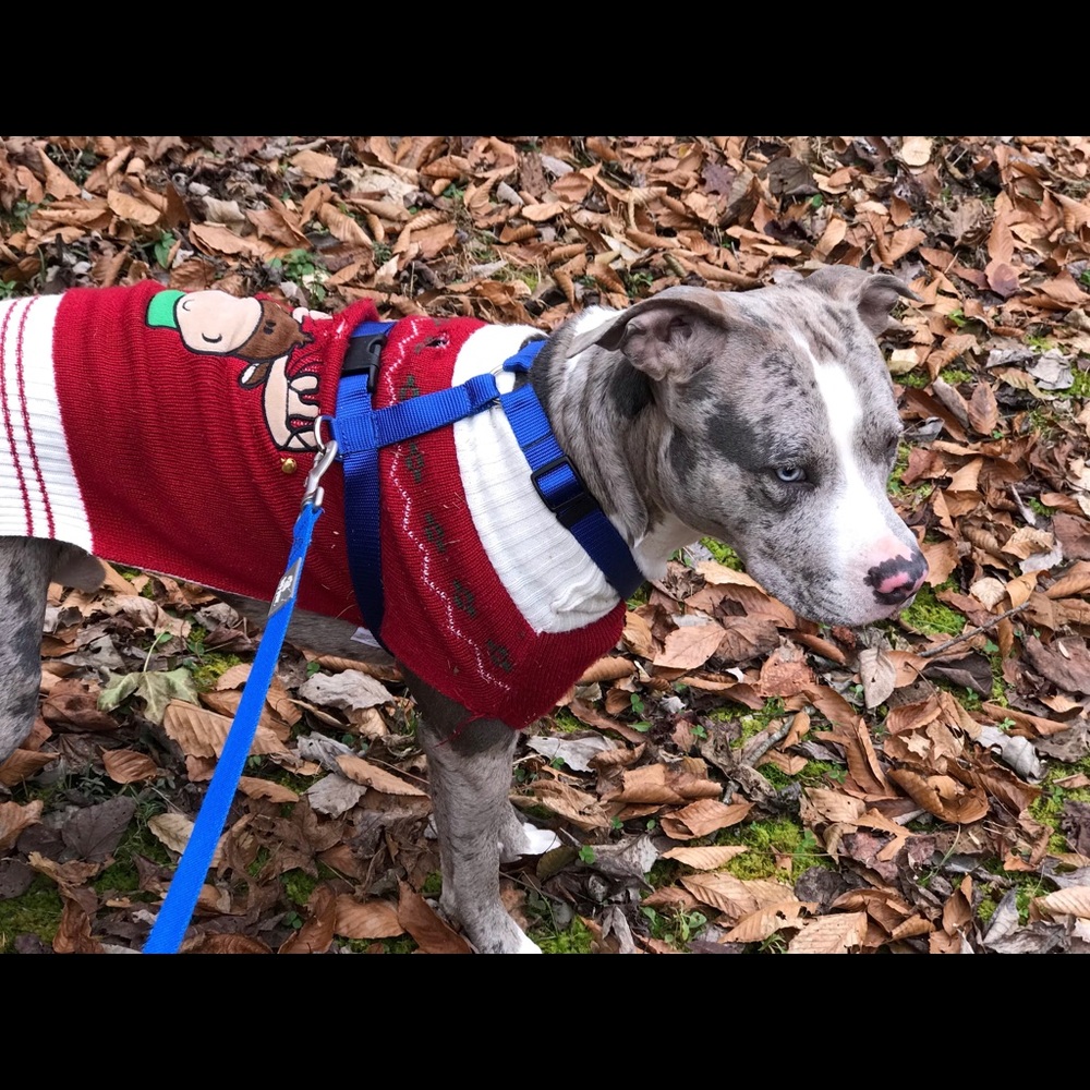 Meet your Posher, Neika